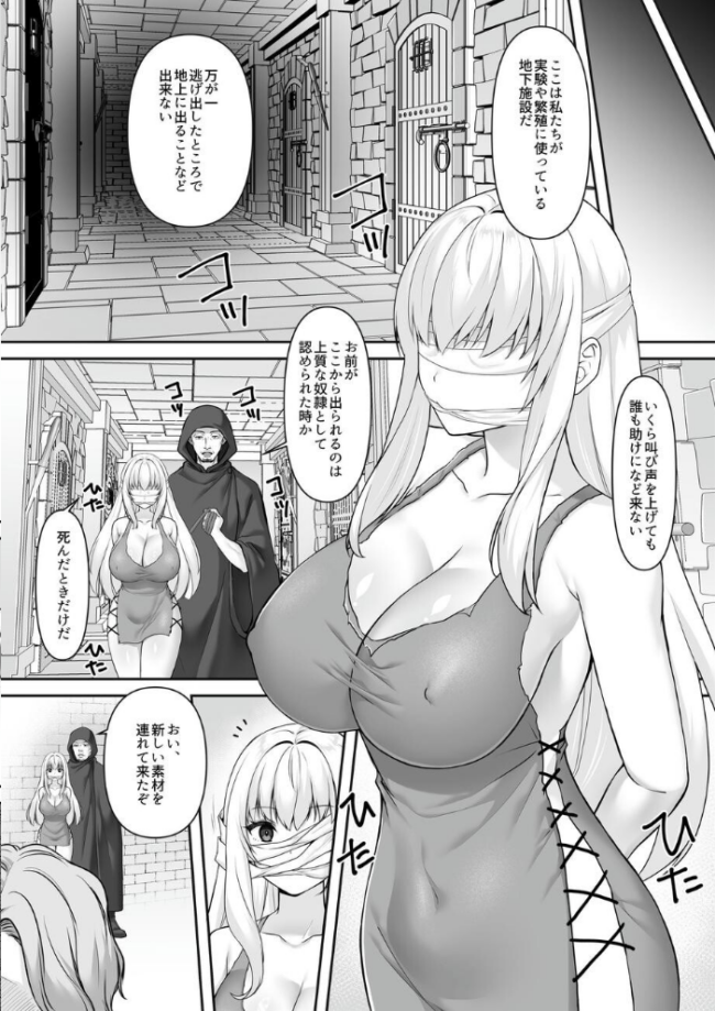 遮断賢者 〜百年生きた女賢者は囮捜査で感覚遮断魔法を使います〜 エルトリア 如月藍 ベルム サンプル画像