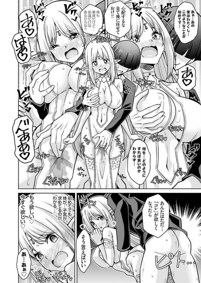 逸物召喚 ━子種を求める発情エルフ集落でハーレム生活━ 肉そうきゅー。 サンプル画像