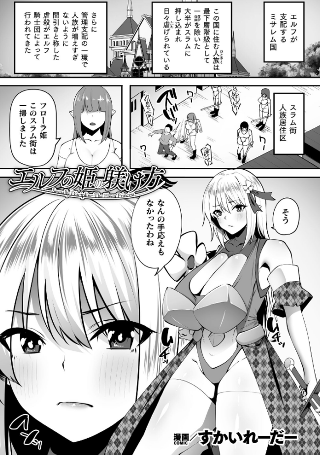 エルフの姫の躾け方【単話】  すかいれーだー サンプル画像