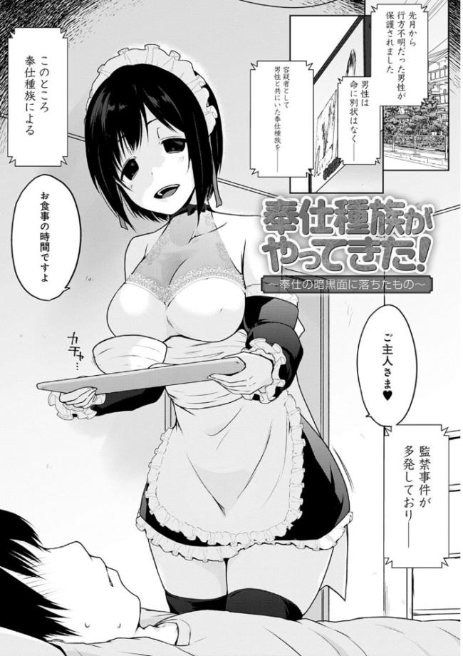 奉仕種族がやってきた! かいづか サンプル画像