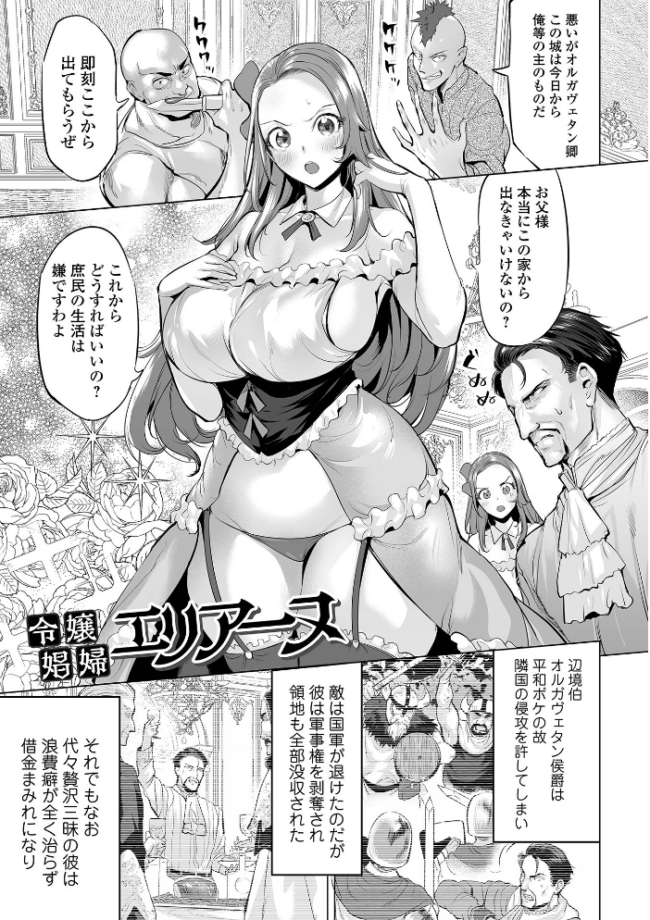 堕ちたプライド えれ2エアロ サンプル画像
