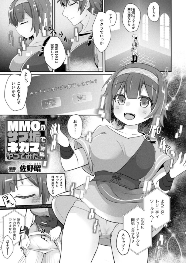 MMOのサブ垢でネカマやってみた 前編【単話】 佐野昭 サンプル画像