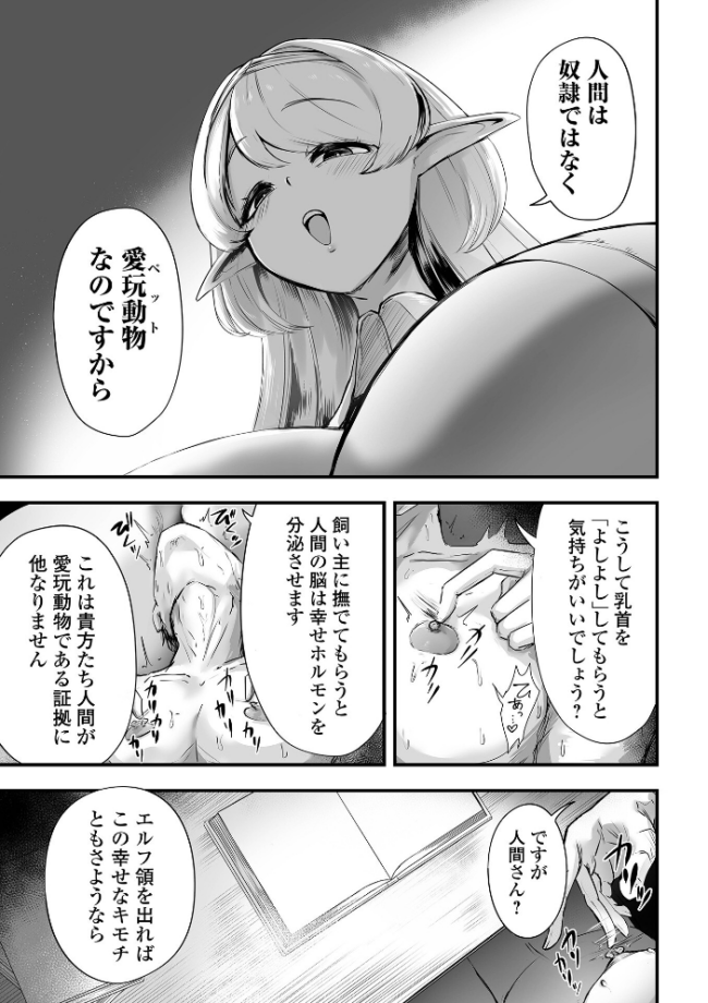 エルフ様の人間愛護管理法 エロ漫画 サンプル画像