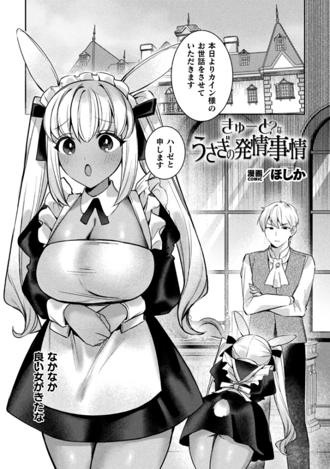 きゅーと?なうさぎの発情事情【単話】 エロ漫画 サンプル画像