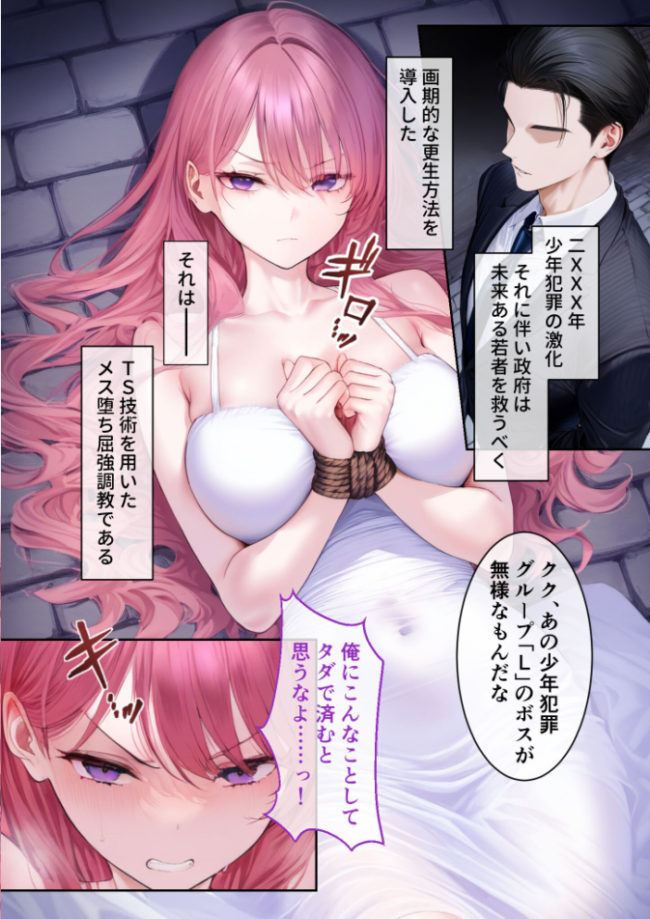 TSメス堕ち更生プログラム 〜女体化技術でお利口SEX〜 モザイク版  ラビットフット サンプル画像