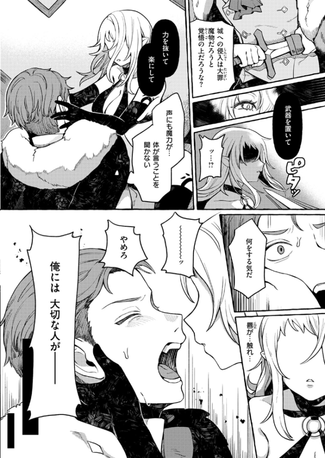 異類 性交譚〜サキュバス・ナイトの場合〜 チロ田ろち サンプル画像