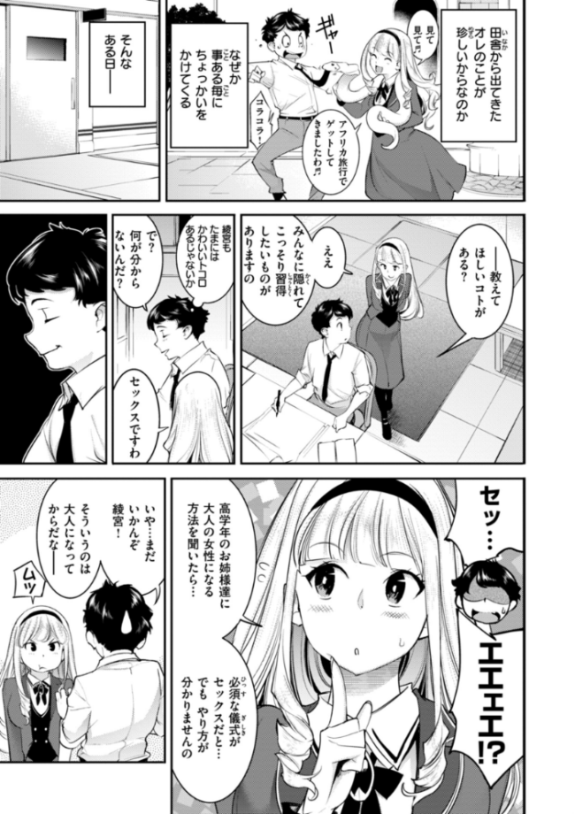 ピュア・パラディーソ SAVAN サンプル画像