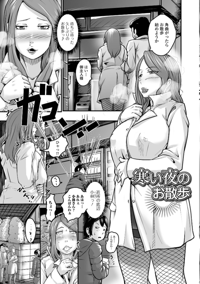 奥様も濃いめ【通常版】 八手美以菜 一水社編集部 サンプル画像
